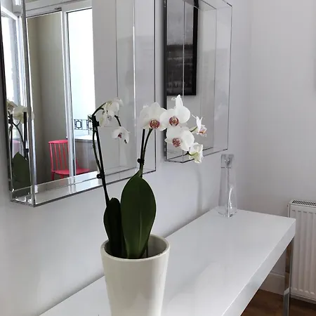 Piper Park Wilsona & Targi