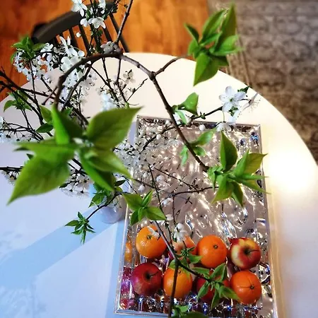 アパート Piper Park Wilsona & Targi