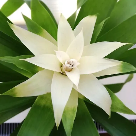 Piper Park Wilsona & Targi