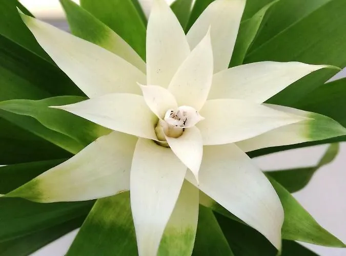 Piper Park Wilsona & Targi